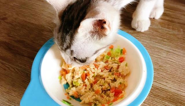 自制猫粮的正确方法是什么？自制猫粮有哪些窍门？