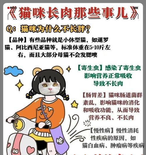 喂食猫粮会导致猫咪肥胖吗？如何平衡猫咪的饮食以避免肥胖？