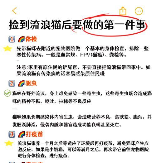 流浪猫吃猫粮吃到鸟屎怎么处理？如何确保流浪猫的饮食卫生？