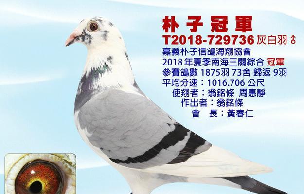寻星羽鸽猫粮的质量如何？用户对其评价和反馈是什么？