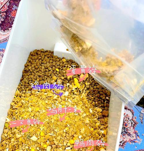 苹果怎么拌猫粮？拌入猫粮的正确方式是什么？