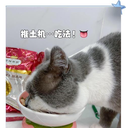 猫粮在过年期间如何保存？