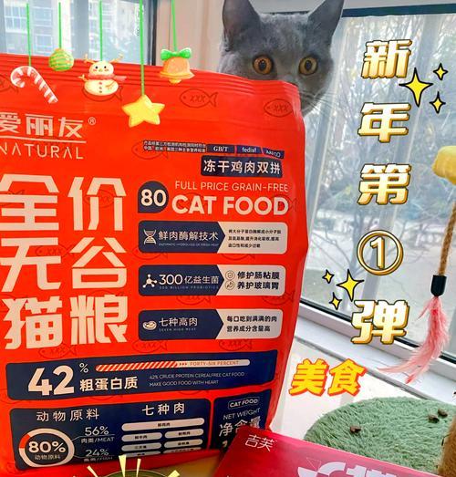 猫粮在过年期间如何保存？