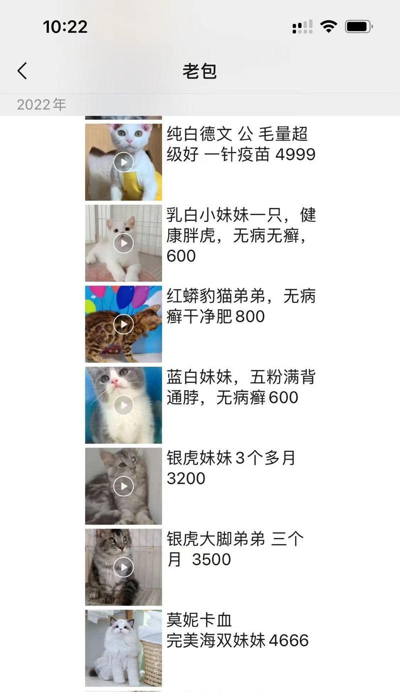 猫咪突然不吃猫粮的原因是什么？如何解决？