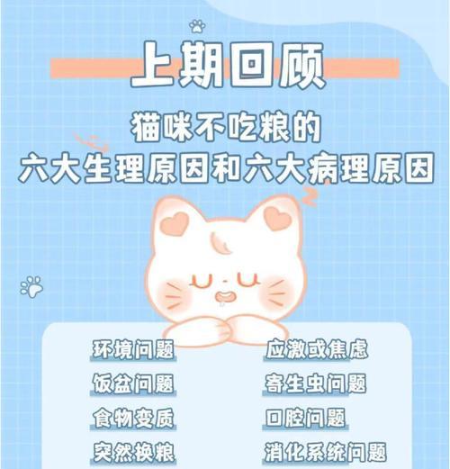 猫咪突然不吃猫粮的原因是什么？如何解决？