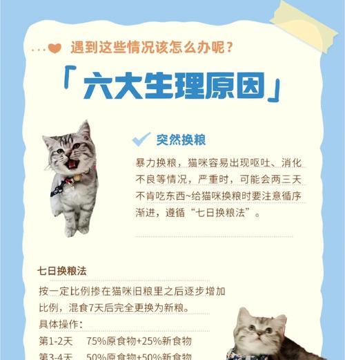 猫咪突然不吃猫粮的原因是什么？如何解决？