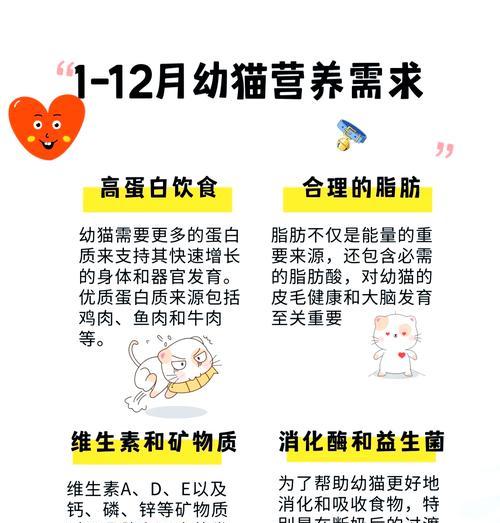 猫粮如何增强猫咪的抵抗力？选择猫粮时应注意哪些成分？