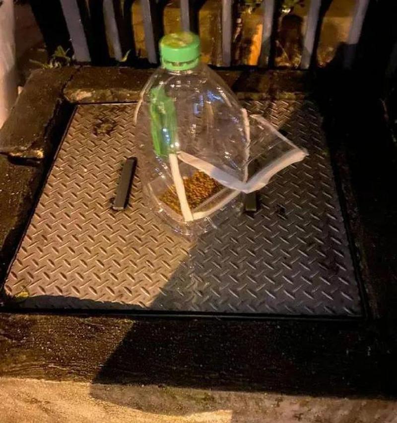 使用塑料瓶铲猫粮会爆炸吗？原因是什么？