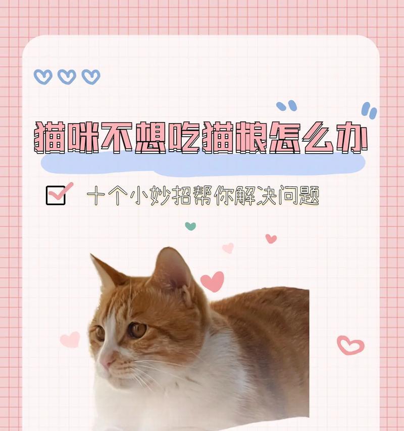 为什么有的猫不满足于只吃猫粮？
