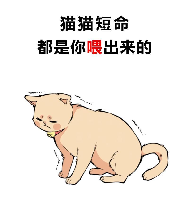 为什么有的猫不满足于只吃猫粮？