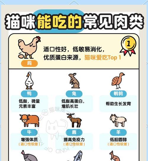 猫咪半岁后应该吃什么猫粮？如何过渡到成猫食品？