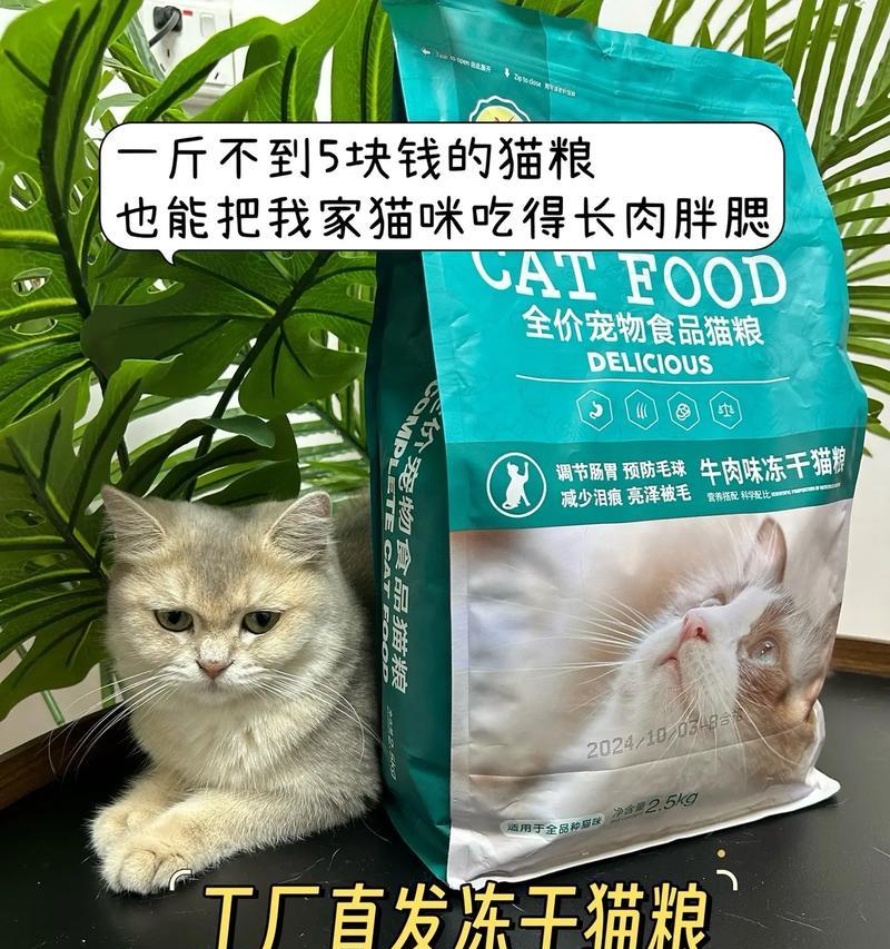 猫吃猫粮为什么先吃冻干？冻干对猫有什么吸引力？
