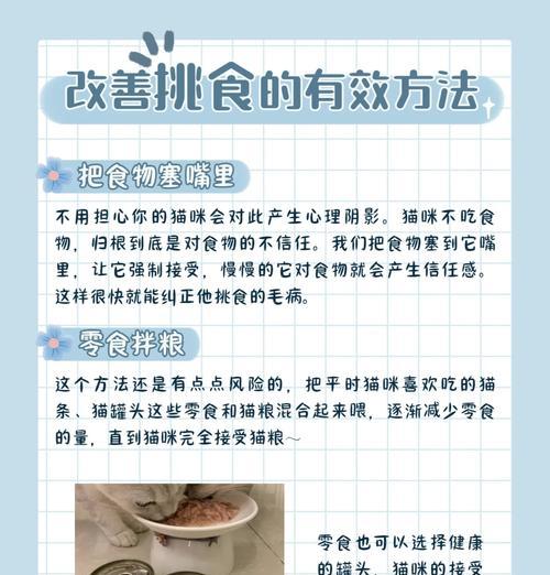 如何防止猫粮挑食？有哪些方法可以改善猫的挑食习惯？