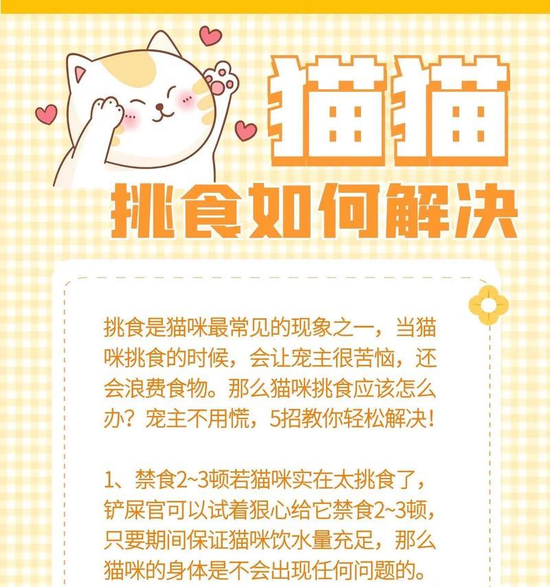 如何防止猫粮挑食？有哪些方法可以改善猫的挑食习惯？
