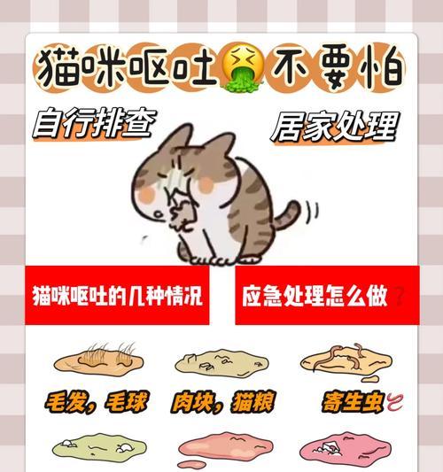 猫误食自己的排泄物会有什么后果？如何预防这种情况？