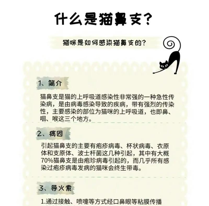 发现药藏在猫粮里应该怎么办？如何确保猫咪安全？