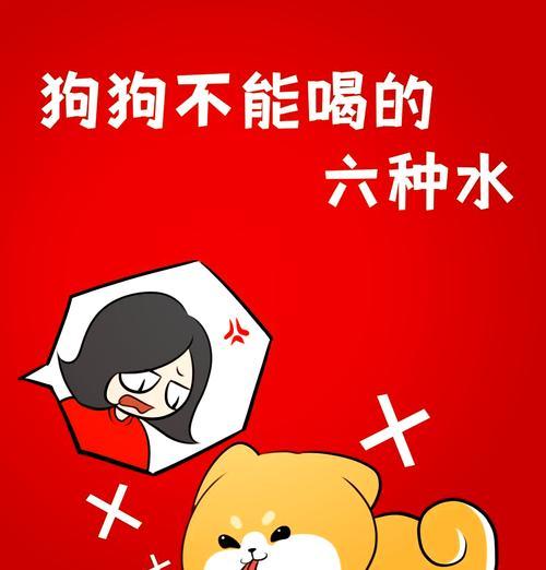 小狗吃太多狗粮又喝了水？这会导致什么问题？