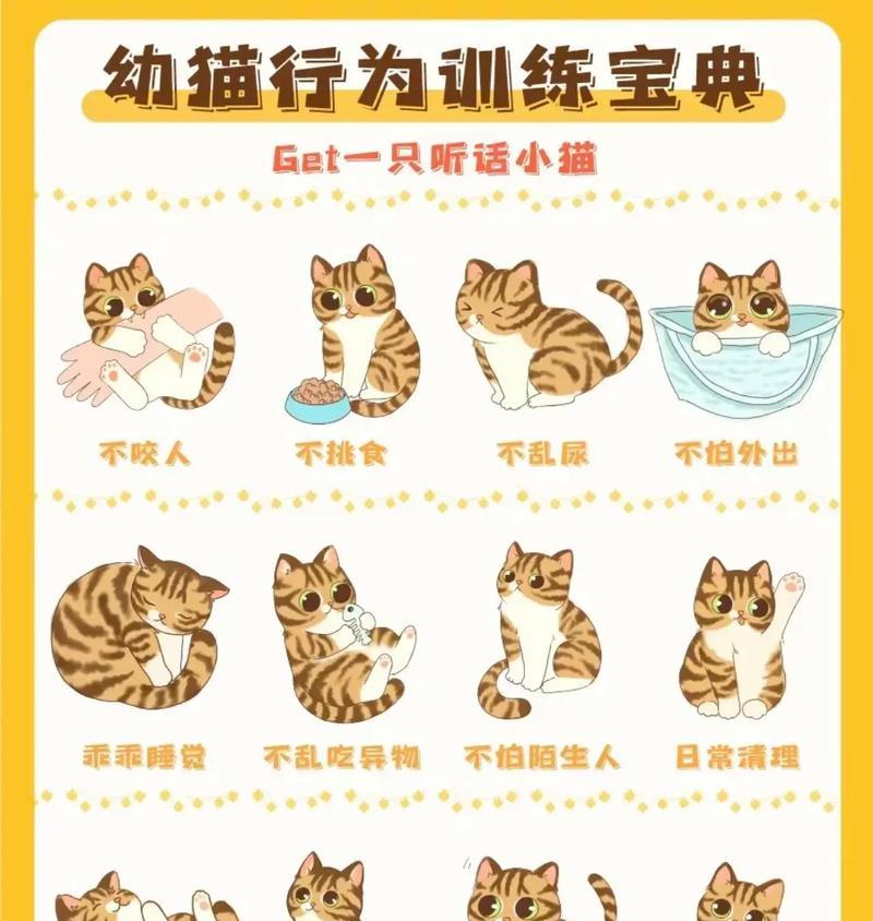 橘猫依赖网友喂食怎么办？如何训练独立进食？