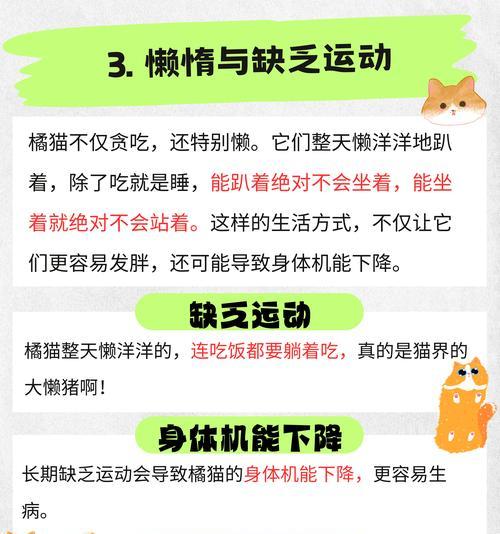 橘猫依赖网友喂食怎么办？如何训练独立进食？