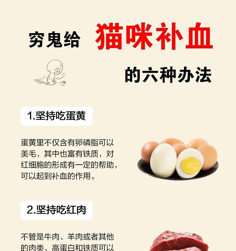 猫粮吃了贫血怎么办？如何选择富含铁质的猫粮？