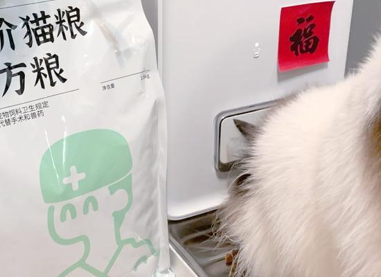 猫咪不饮水时如何制作猫粮？