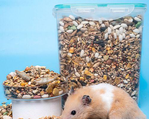 猫咪可以吃仓鼠粮吗？如何正确喂食？