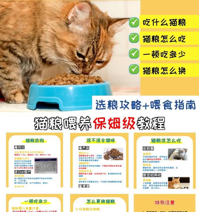 有猫粮的情况下，我们应该如何更好地喂猫？