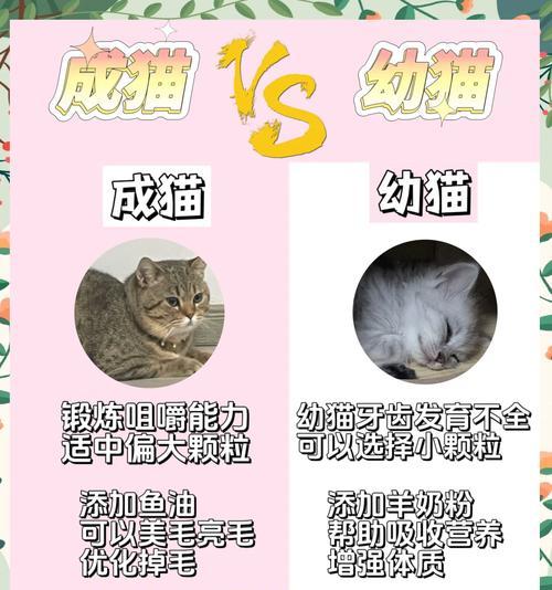 幼猫为何会同时吃猫粮和奶？