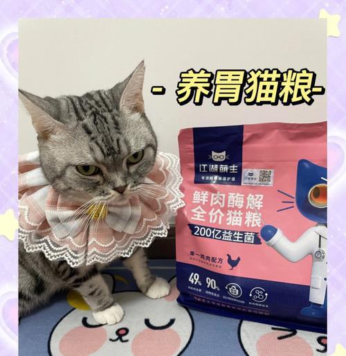 猫粮泡什么可以更美味？有哪些健康的泡法？