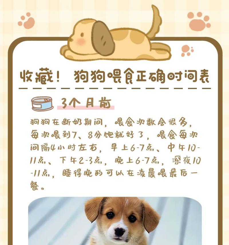 两个月大的杜宾狗每天应吃多少狗粮？喂食量如何控制？