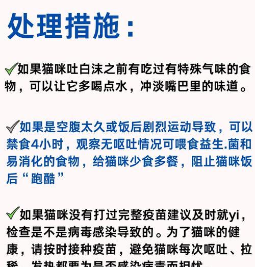 猫咪吃生骨肉猫粮吐白沫原因何在？如何处理？