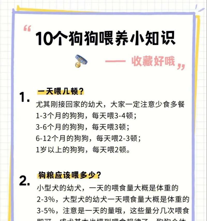 如何正确喂食猫柯基膨化粮？