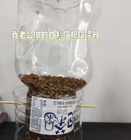 猫粮自动投喂器老鼠怎么用？操作步骤是怎样的？