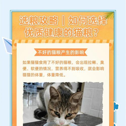 阿尔法猫偏爱哪种猫粮？如何选择合适的猫粮？