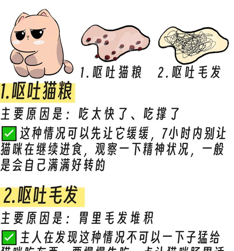 猫咪吃猫粮呕吐的原因是什么？如何预防和处理？