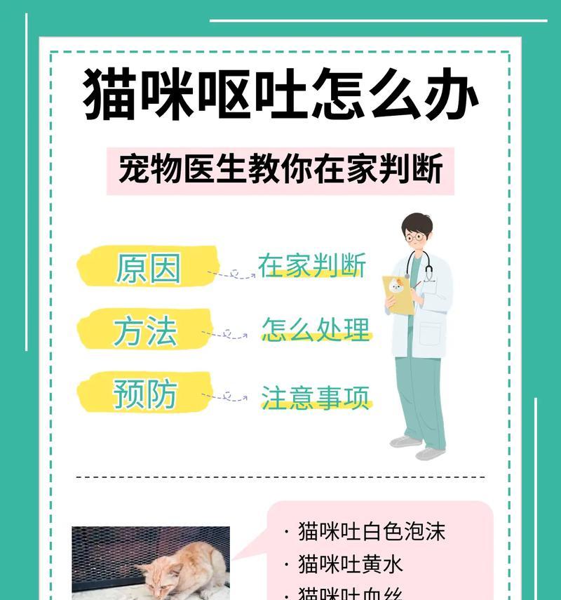 猫咪吃猫粮呕吐的原因是什么？如何预防和处理？