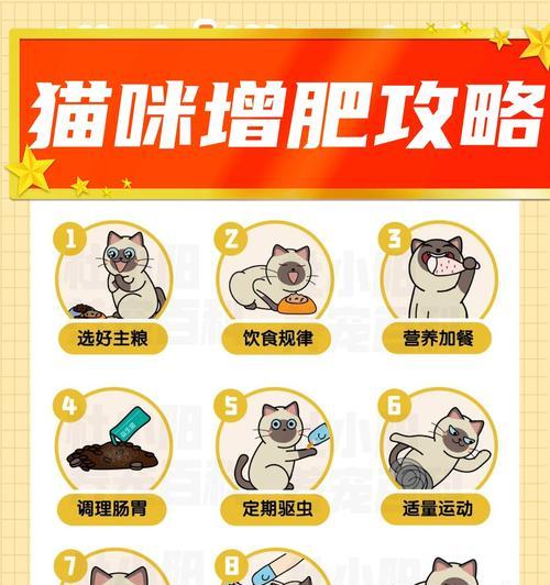 猫瘦弱不爱动弹不吃猫粮怎么解决？