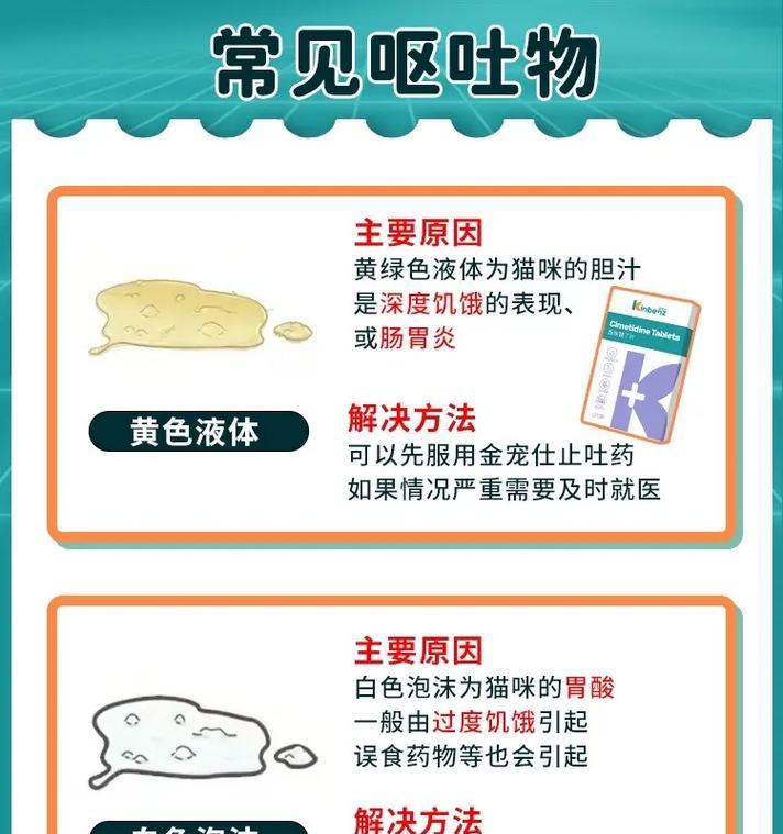 猫咪吐粮并拉稀屎应该怎么办？