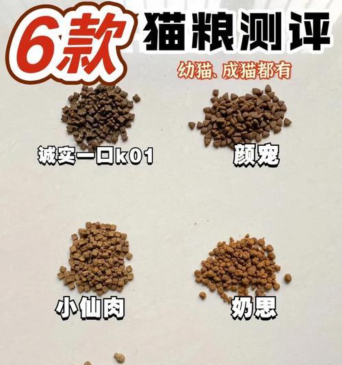 小猫满月后应该吃什么猫粮？有哪些推荐？