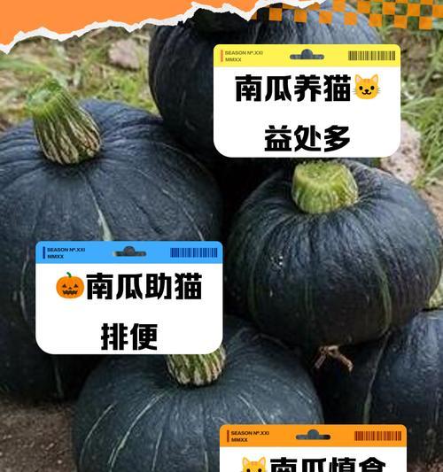 猫粮中加入南瓜的好处是什么？