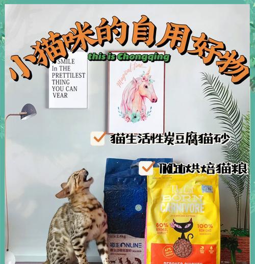 搜索猫砂猫粮怎么选？加菲猫吃什么猫粮最好？