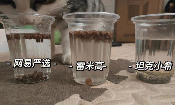 外出时猫粮和水杯如何搭配使用？喂食猫粮的正确方法是什么？