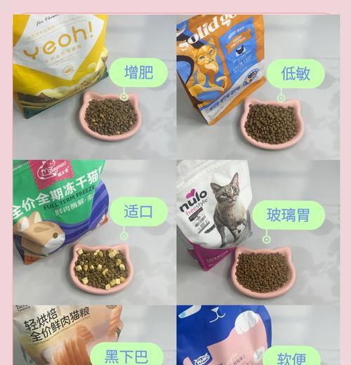 最强体质的猫咪应该吃什么猫粮？推荐有哪些？