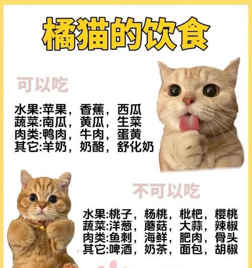 橘猫为何偏爱油腻食物而非猫粮？