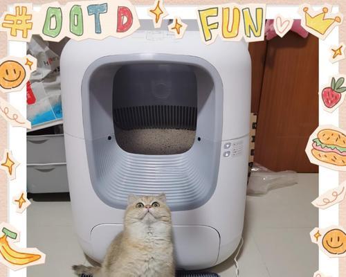 怎么在壶里放猫粮和鱼缸？正确的方法是什么？