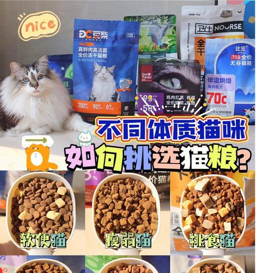 公猫太瘦吃什么猫粮好一点？如何选择适合瘦弱公猫的猫粮？
