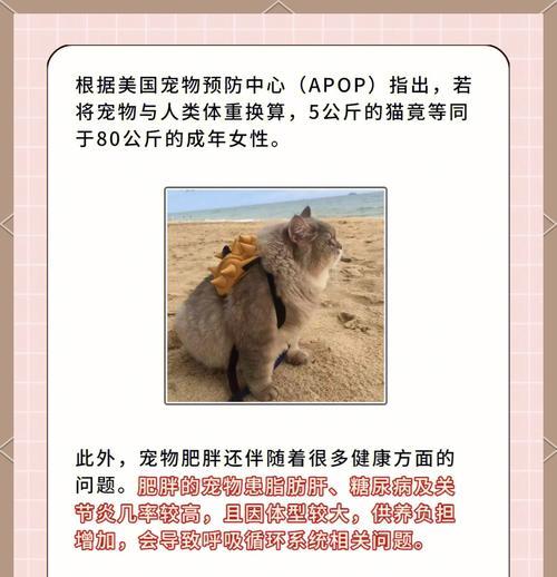 吃猫粮会让猫咪变胖吗？原因是什么？