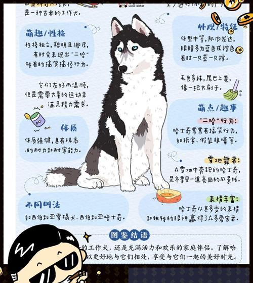 哈士奇去中北？哈士奇的迁徙习性及其对环境的影响是什么？