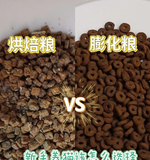 没有蛋黄粉的猫粮是什么？这种猫粮对猫咪有何影响？