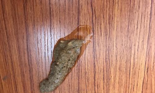 猫吐猫粮粉红色的血怎么回事？可能的原因是什么？